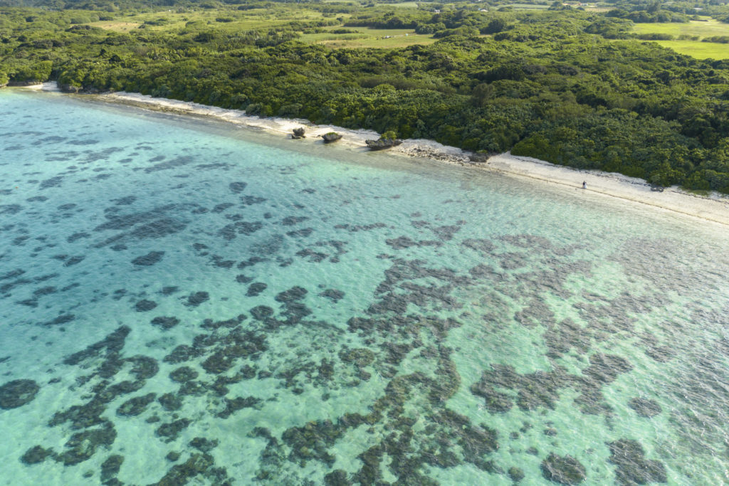 沖縄の海と自然を活かした前撮りウェディングフォト
